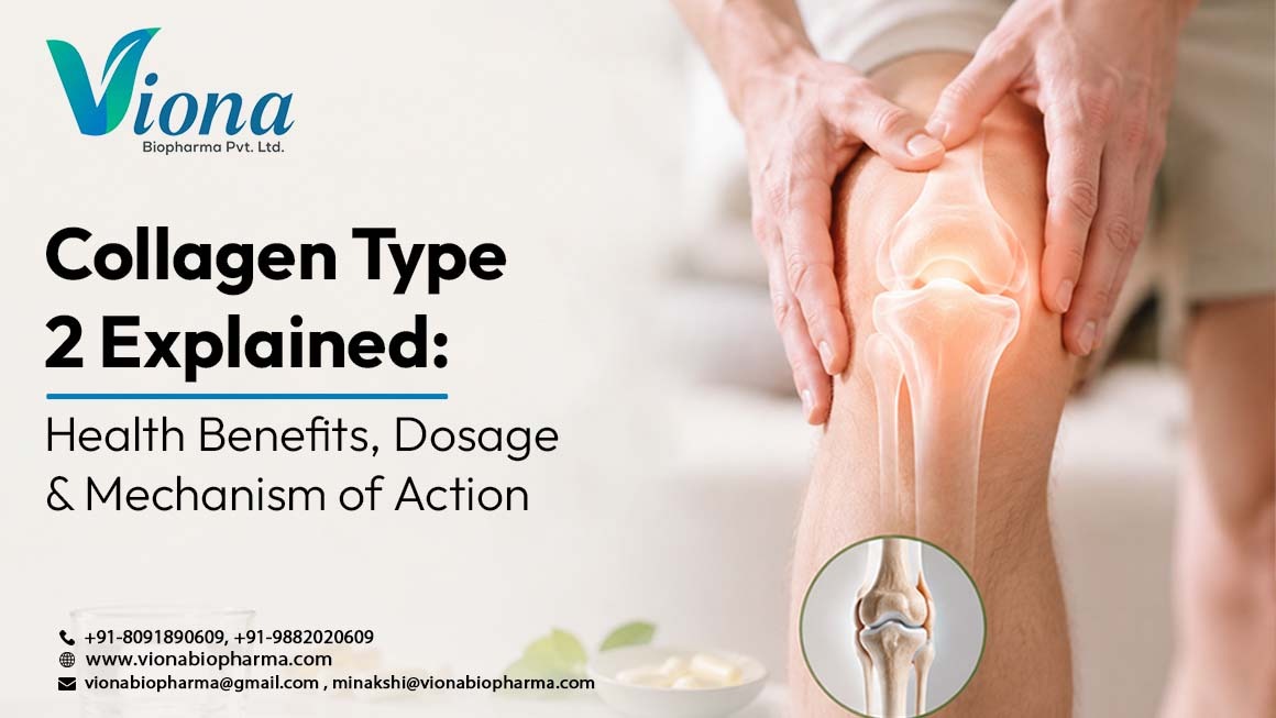 Collagen Type 2