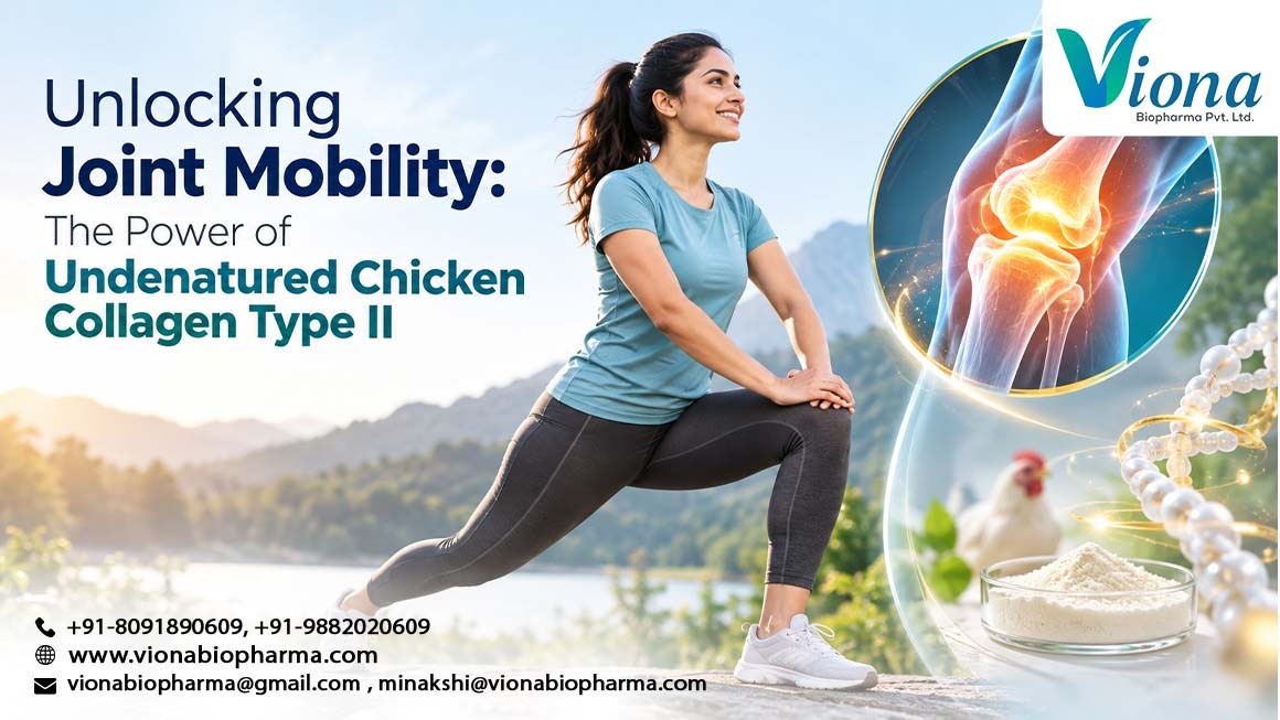Undenatured Chicken Collagen Type II